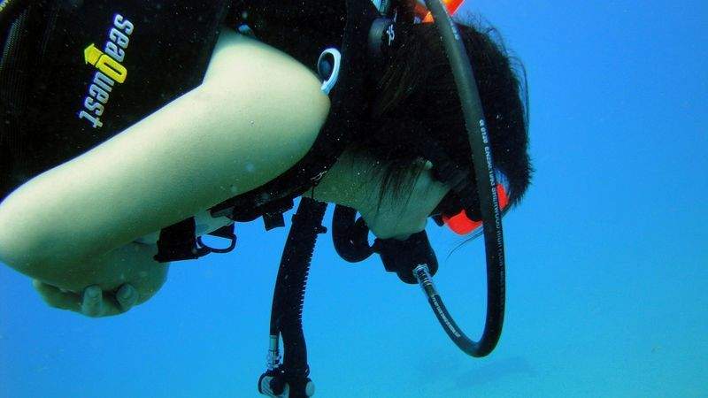 春の海をもっと楽しむためのダイビング準備