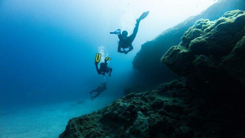 ダイビング旅行の問い合わせと予約調整の効率化